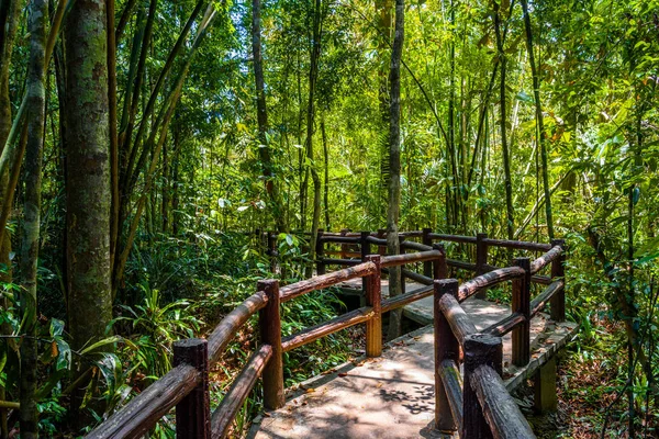 Emerald Pool, Yosemite National Park, Krabi, Thailand, Wooden path trough jungle forest