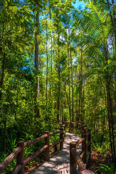 Zümrüt havuzu, Yosemite Milli Parkı, Krabi, Tayland, Thailand, ahşap yol yalak orman orman