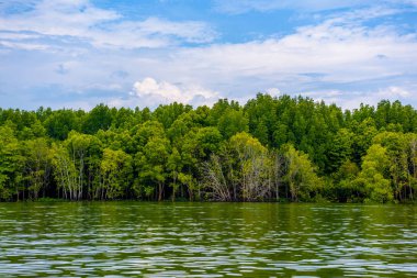 Ko Pan Yi, Ao Phang-nga Ulusal Parkı, Phang-nga, Tayland.