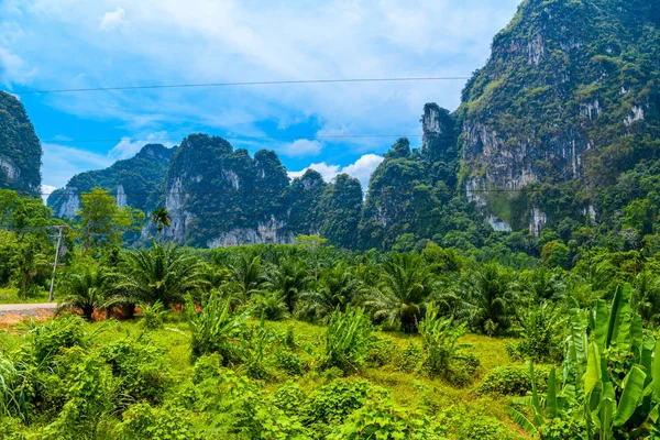 Paysage Avec Des Palmiers Des Falaises Rocheuses Khlong Phanom National — Photo