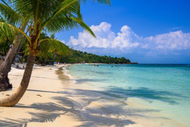Hindistan cevizi avuç içi tropikal Haad Yao Beach, Koh Samui Adası, Suratthani, Tayland