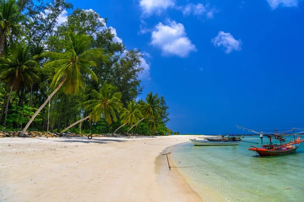 Palmeras Coco Botes Cola Larga Playa Malibú Isla Koh Phangan — Foto de Stock