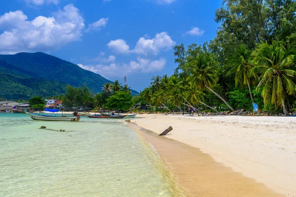 Καρύδας Παλάμες Και Μακρά Ουρά Βάρκες Malibu Beach Koh Phangan — Φωτογραφία Αρχείου