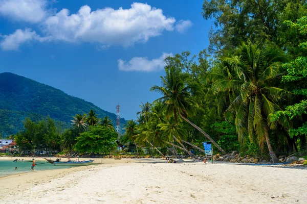 Palmeras Coco Botes Cola Larga Playa Malibú Isla Koh Phangan — Foto de Stock