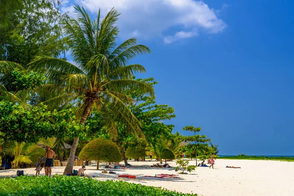 Φοίνικες Και Άμμο Στην Παραλία Του Μαλιμπού Νησί Koh Phangan — Φωτογραφία Αρχείου