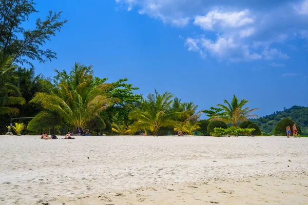 Palmeras Arena Playa Malibú Isla Koh Phangan Suratthani Tailandia — Foto de Stock