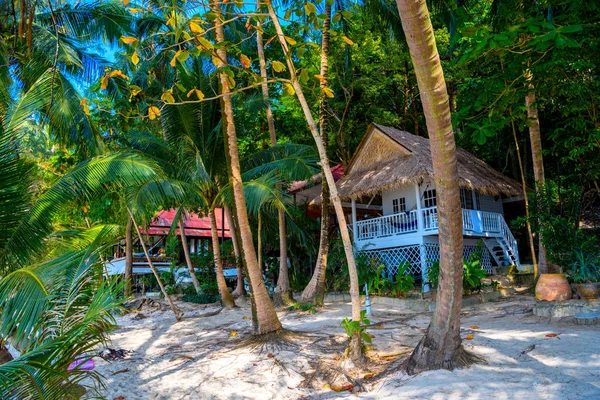 Bungalows Admettant Les Animaux Compagnie Coral Bay Beach Koh Phangan — Photo