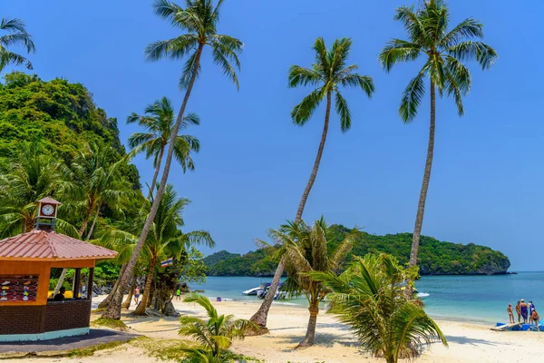 Koh Phaluai Parque Nacional Ang Thong Golfo Tailandia Siam Palmeras — Foto de Stock