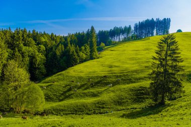 Mavi gökyüzü, Schoenengrund, Hinterland, Appenzell Ausserrhoden İsviçre ile yeşil alanlar