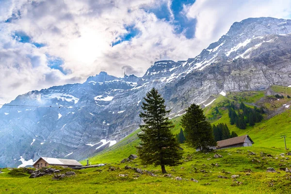 Alpes Montanhas Campos Schoenengrund Hinterland Appenzell Ausserrhoden Suíça — Fotografia de Stock