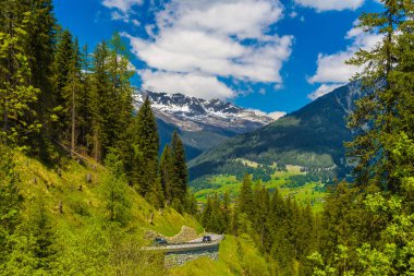Forest in Alps mountains, Klosters-Serneus, Davos,  Graubuenden Switzerland