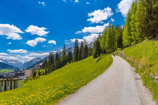 Yol yeşil alana Alp Dağları, Davos, Graubuenden, İsviçre