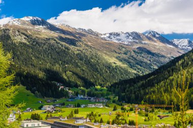 Alpler çam ormanı, Davos, Graubuenden, İsviçre ile kaplı dağları