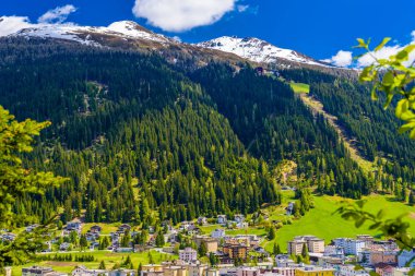 Alpler çam ormanı, Davos, Graubuenden, İsviçre ile kaplı dağları