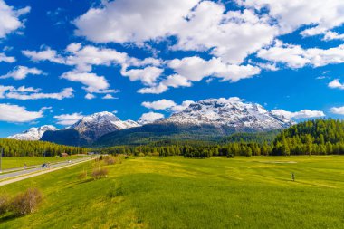 Yeşil alanlar ve Alp Dağları coevered orman, Samedan, Maloja, Graubuenden, İsviçre