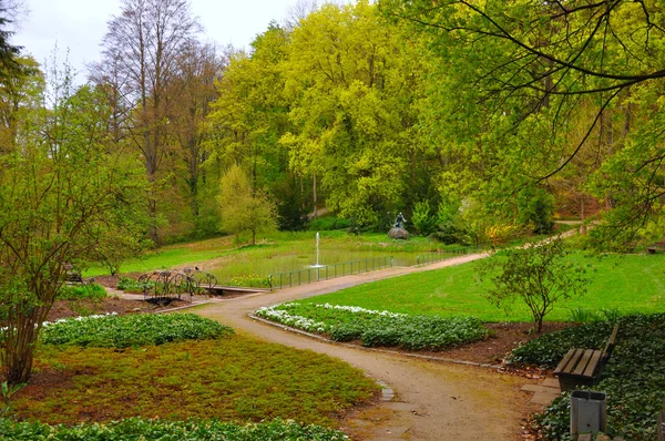 Árboles Arbustos Jardín Cerca Del Monasterio Men Frauenberg Fulda Hessen —  Fotos de Stock