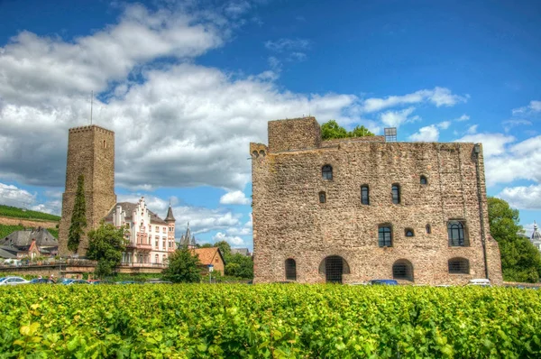 葡萄园在中世纪城堡堡垒附近 Boosenburg Ruedelsheim Hessen Germany — 图库照片