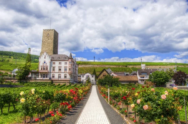Chodnik Kwiatami Ruedesheim Rhein Main Pfalz Niemcy — Zdjęcie stockowe