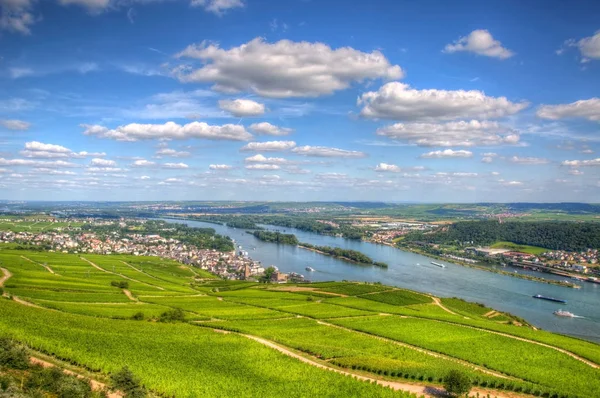 Vigneto Ruedelsheim Assia Germania — Foto Stock