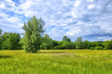 Bulutlar Aueweiher parkında bir Fulda, Hessen, Almanya ile yeşil çayır.