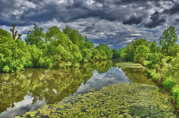 Nilüferler Fulda Nehir Hdr Aueweiher Parkında Bir Fulda Hessen Almanya — Stok fotoğraf