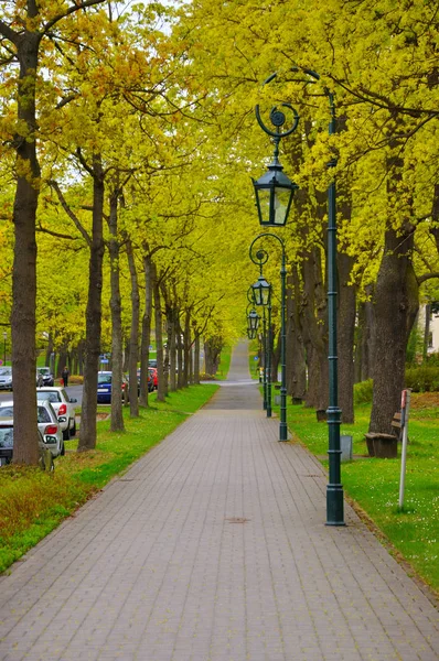 德国黑森市富尔达弗劳恩堡门寺附近的公园里 有树木和灯笼的小巷 — 图库照片