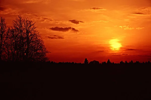 Belo Pôr Sol Vermelho Místico Sobre Floresta — Fotografia de Stock