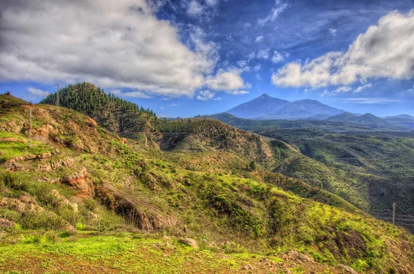 North-west coast of Tenerife mountains and green grass with blue sky with clouds, Canarian Islands.