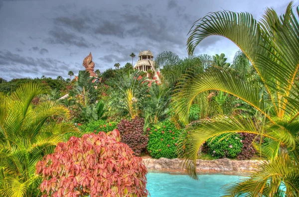 Flod Parken Med Palmer Teneriffa Kanarieöarna — Stockfoto