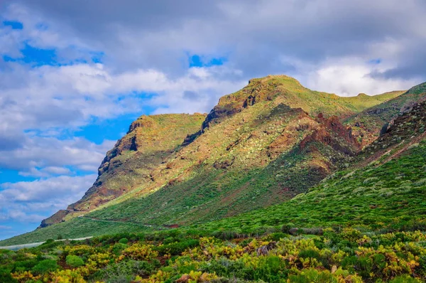 Grüne Berge Auf Teneriffa Auf Kanarischen Inseln — Stockfoto