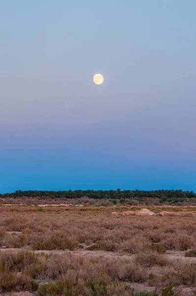 Luna Sopra Deserto Salato Vicino Lago Salato Chott Djerid Deserto — Foto Stock