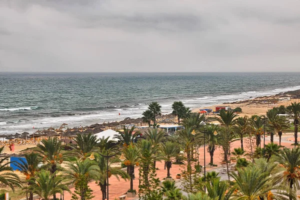 Beach Alley Date Palms Hammamet Cloudy Day Tunisia Mediterranean Sea — Stock Photo, Image
