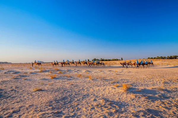在突尼斯 非洲的撒哈拉大沙漠的骆驼商队 — 图库照片