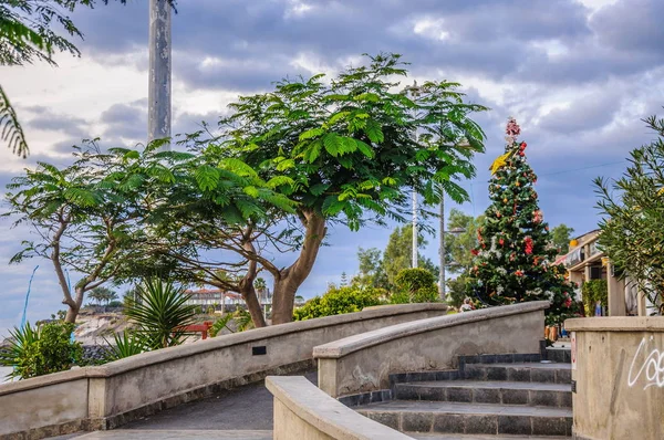 Ağaç Adımları Tenerife Spanya Ile Noel Ağacı — Stok fotoğraf