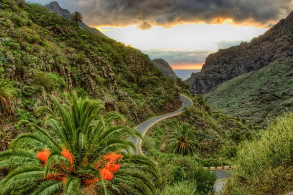 Palms Serpentine Masca Village Mountains Tenerife Canarian Islands — Stock Photo, Image