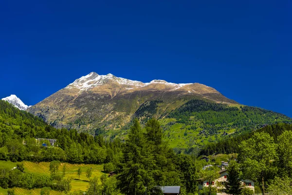 Alp Гір Ліс Поля Fiesch Goms Уолліс Вале Швейцарія — стокове фото