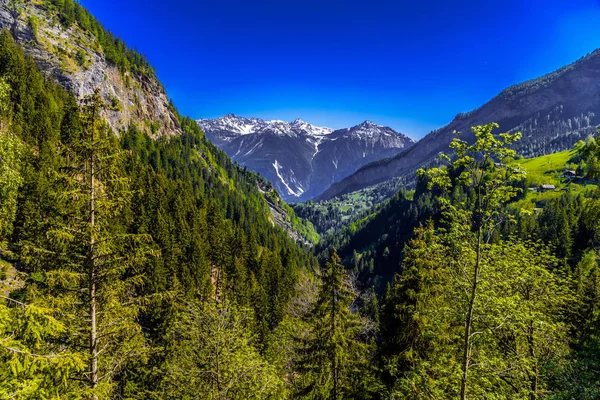 Alpes Montanhas Cobertas Com Pinhal Leukerbad Leuk Visp Wallis Valais — Fotografia de Stock