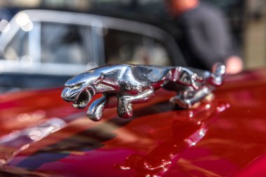 Almanya, Limburg - Nisan 2017: Limburg 'daki Jaguar Sembolü an der Lahn, Hesse, Almanya.