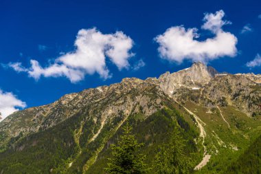 Yeşil dağların çim ile kaplı Chamonix, Mont Blanc, Haute-Savoie, Alpler, Fransa