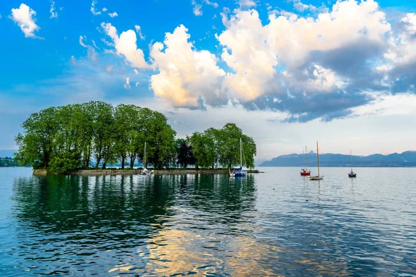 Stromy na malém ostrově v Ženevské jezero, Švýcarsko — Stock fotografie