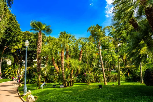 Palmy v parku La Condamine, Monte Carlo, Monako, Cote d ' — Stock fotografie