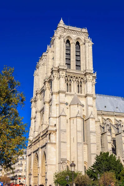 PARIS, FRANCE - APRIL 15, 2019: Notre Dame de Paris cathedral, France. Gothic architecture — Stock Fotó