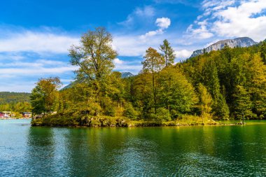 Koenigssee Gölü'nde ağaçlarla dolu küçük bir ada, Konigsee, Berchtesgaden Ulusal Parkı, Bavyera, Almanya