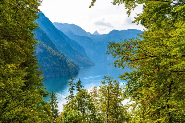 Janela florestal com vista para o lago perto de Schoenau am Koenigssee, Konigsee, Berchtesgaden National Park, Baviera, Alemanha — Fotografia de Stock