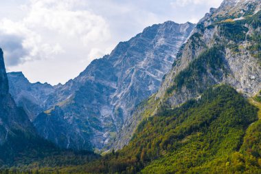 Ormanlarla kaplı Alpdağları, Koenigssee, Konigsee, Berchtesgaden Ulusal Parkı, Bavyera, Almanya