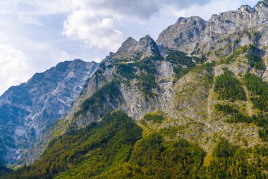 Ormanlarla kaplı Alpdağları, Koenigssee, Konigsee, Berchtesgaden Ulusal Parkı, Bavyera, Almanya