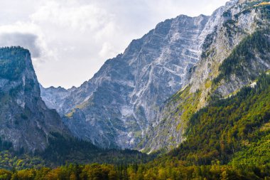 Ormanlarla kaplı Alpdağları, Koenigssee, Konigsee, Berchtesgaden Ulusal Parkı, Bavyera, Almanya