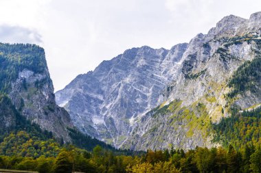 Ormanlarla kaplı Alpdağları, Koenigssee, Konigsee, Berchtesgaden Ulusal Parkı, Bavyera, Almanya.