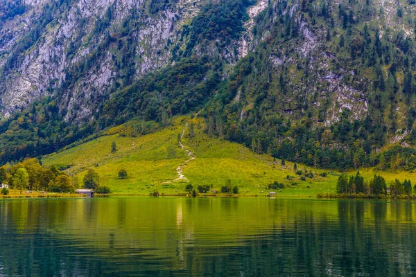 Травяной луг рядом с Кенигсси, Кенигзе, Национальный парк Берхтесгаден, Бавария, Германия . — стоковое фото
