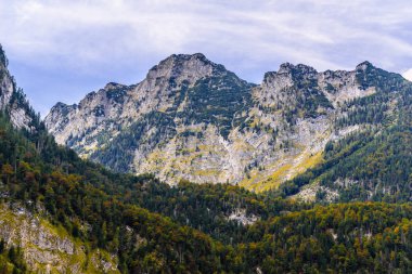 Ormanlarla kaplı Alpdağları, Koenigssee, Konigsee, Berchtesgaden Ulusal Parkı, Bavyera, Almanya